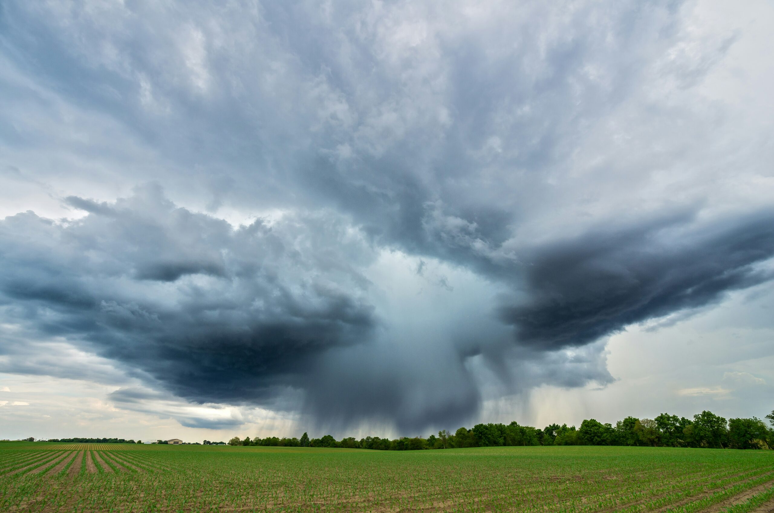 Intelligenza Artificiale, Cambiamento Climatico e Monitoraggio Ambientale